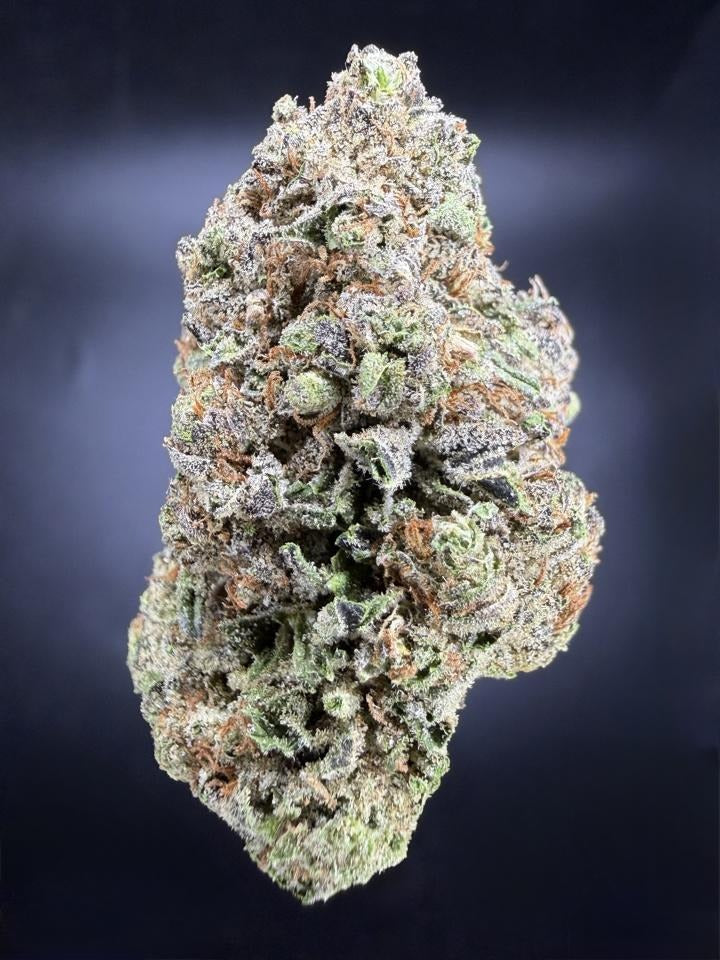 Chocolate Cherry Chip