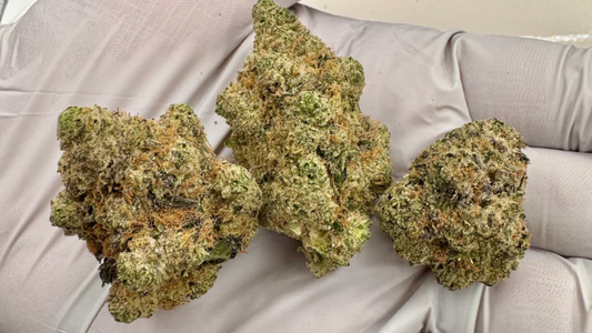 Buy THCA Flower Online: What to Look for Before You Order