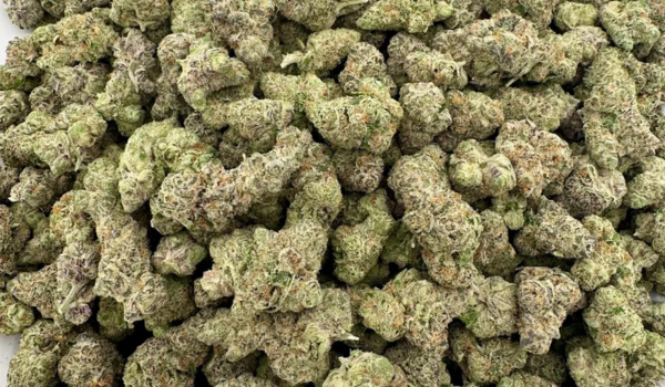Does THCA Get You High? Complete Beginner Guide to THCA Flower