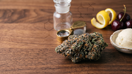 The Growing Popularity of Lemon Cherry Gelato Among Cannabis Consumers