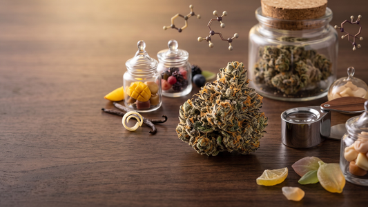 Super Runtz THCA Flower: A Consumer Favorite in the Premium Cannabis Market