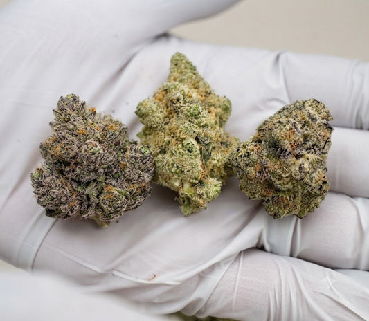 How to Tell if Cannabis Flower Is High Quality: A Buyer's Sensory Guide