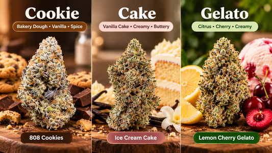 Cookie vs cake vs gelato THCA flower featuring 808 Cookies, Ice Cream Cake, and Lemon Cherry Gelato with distinct dessert-inspired aroma profiles.