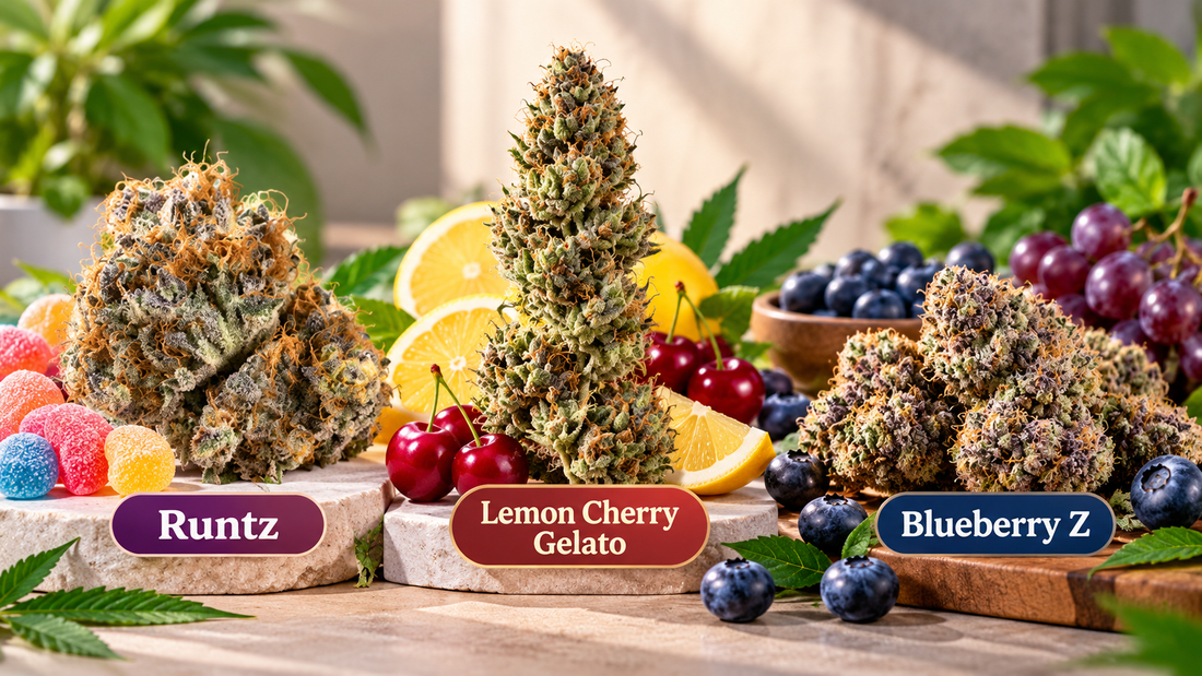 Fruit-forward THCA flower featuring blueberry, grape, lemon, cherry, and candy-inspired aromas with frosty cannabis buds.