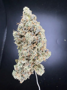 808 Cookies premium indoor THCA hemp flower - dense trichome-coated bud