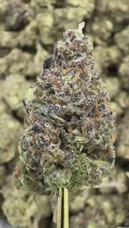 Snowman - Premium Indoor THCA Flower