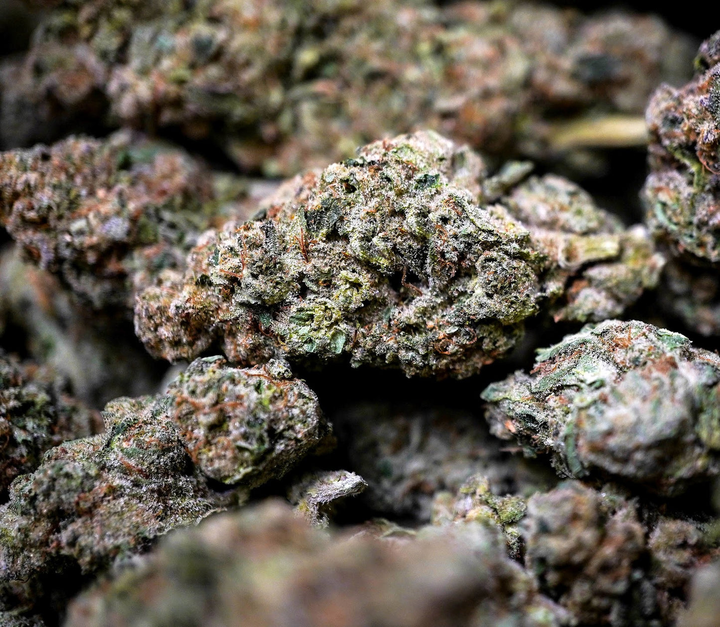 Banana Kush