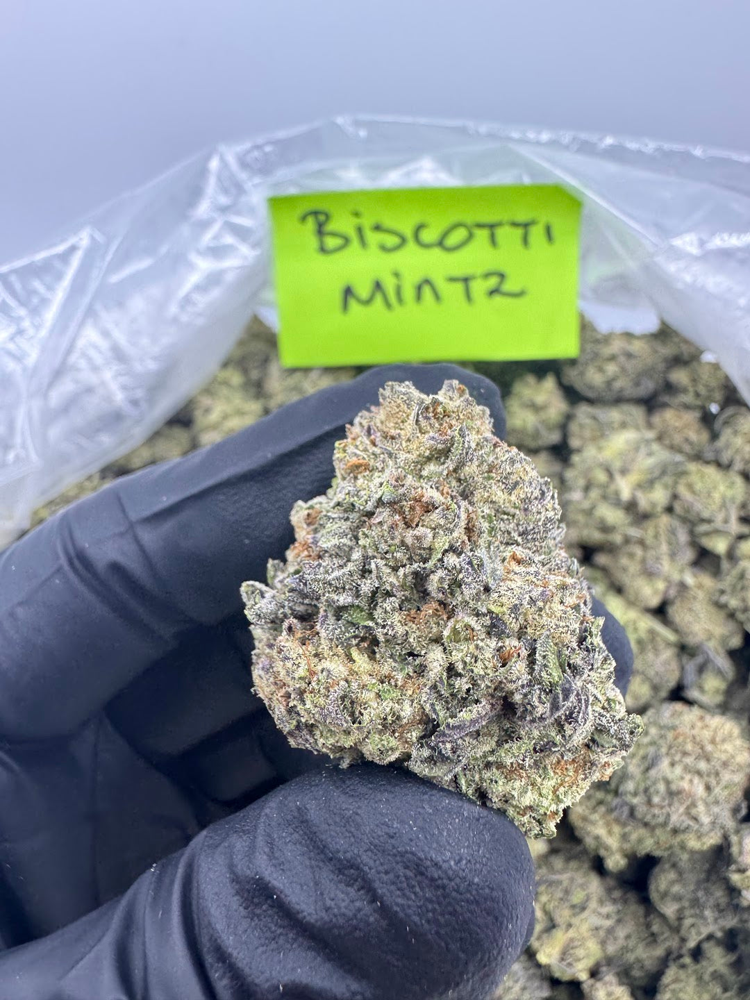 Biscotti Miiintz