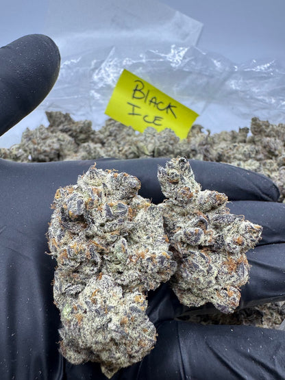 Black Ice