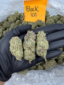Black Ice