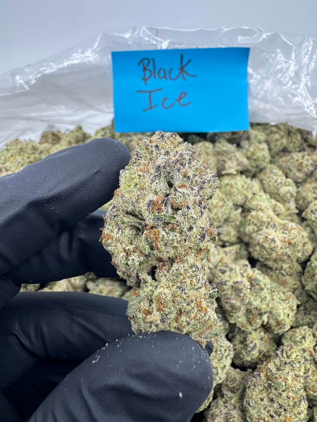 Black Ice