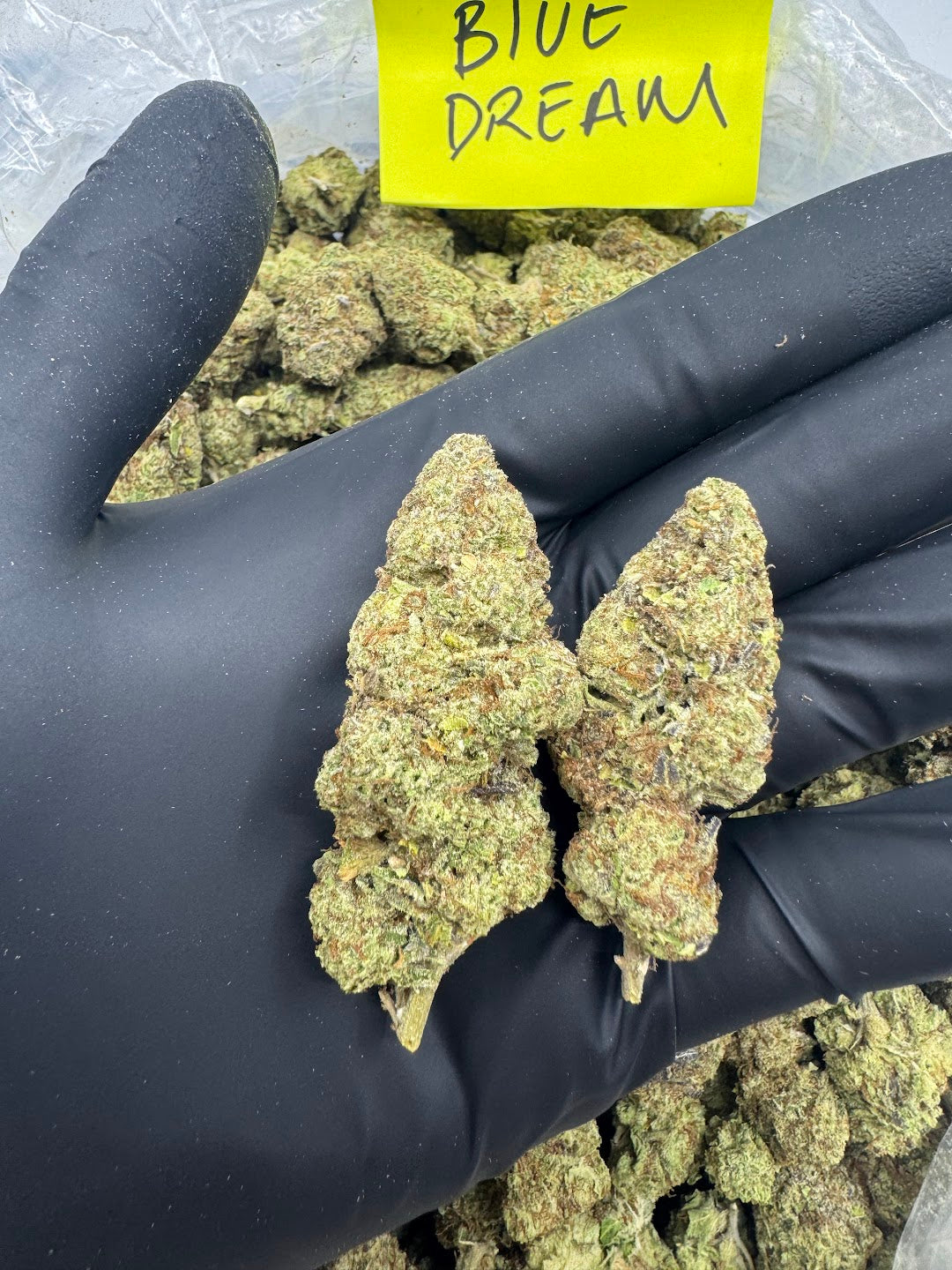 Blue Dream