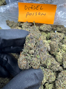 Diesel Poison