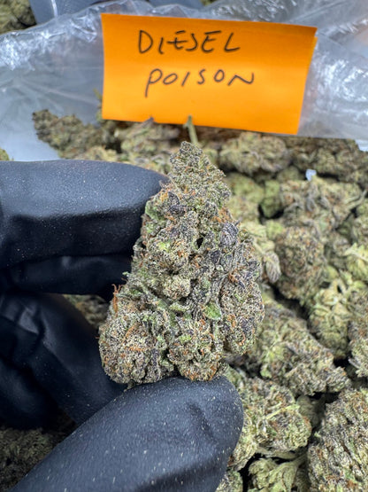 Diesel Poison