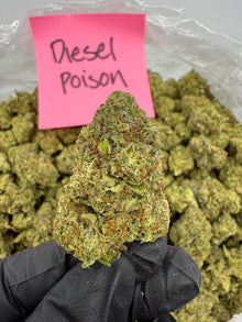 Diesel Poison