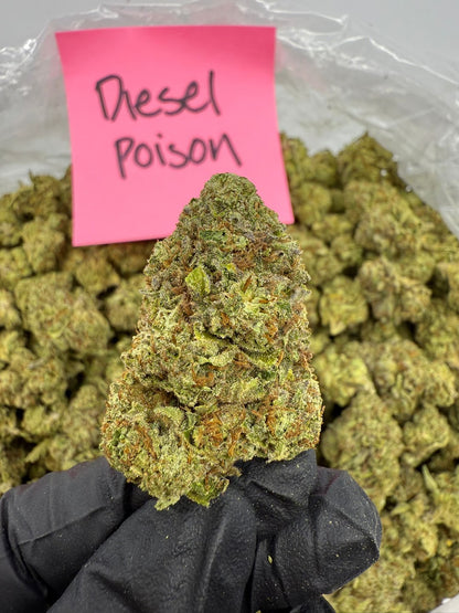 Diesel Poison