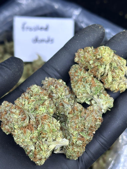 Frosted Donuts