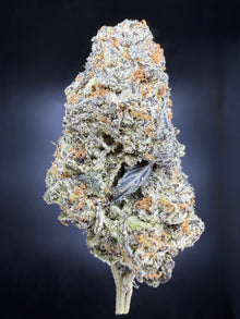 Ice Cream Cake premium indoor THCA hemp flower - dense frosty bud with heavy trichomes