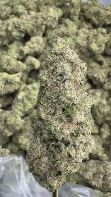 Biscotti - Premium Indoor THCA Flower
