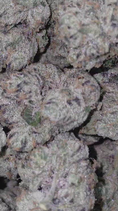 Blueberry Z - Premium Indoor THCA Flower | California Grown
