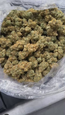 GFi CBD