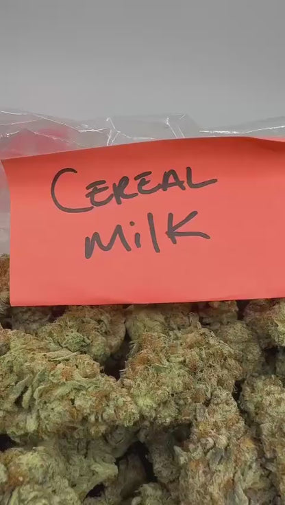 Cereal Milk