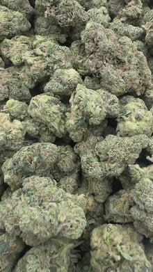 808 Cookies - Premium Indoor THCA Flower | California Grown